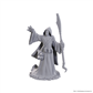 D&D Nolzur's Marvelous Miniatures: Star Spawn Larva Mage