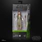 Star Wars The Black Series Princess Leia (Ewok Village)